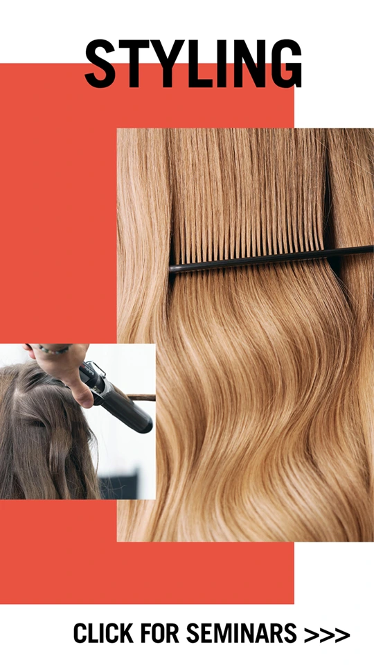 Styling Seminars
